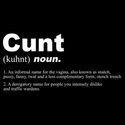 Cunt Noun - GD11 Softstyle® Adult Long Sleeve T-Shirt Design