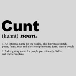 Cunt Noun - 16oz Frosted Glass Beer Stein Design